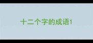 十二个字的成语