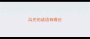 风光的成语有哪些
