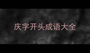 庆字开头成语大全