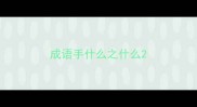 成语手什么之什么