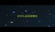 的字头成语有哪些