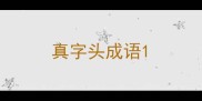 真字头成语