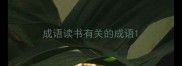 成语读书有关的成语