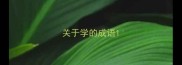 关于学的成语