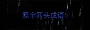 照字开头成语