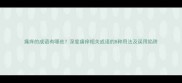 痛痒的成语有哪些深度痛痒相关成语的8种用法及误用陷阱
