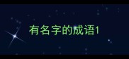 有名字的成语