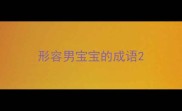 形容男宝宝的成语