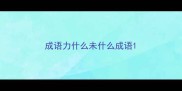 成语力什么未什么成语