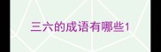 三六的成语有哪些