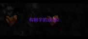 有制字的成语