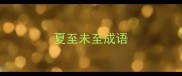 夏至未至成语