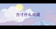 方寸什么成语
