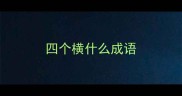 四个横什么成语