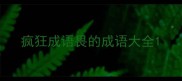 疯狂成语畏的成语大全