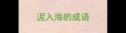 泥入海的成语