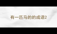 有一匹马的的成语