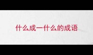 什么成一什么的成语