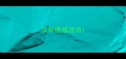 没有遗憾成语