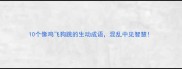 10个像鸡飞狗跳的生动成语混乱中见智慧