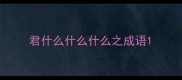 君什么什么什么之成语
