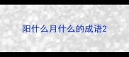 阳什么月什么的成语