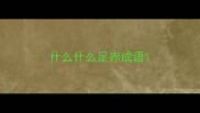 什么什么足赤成语