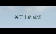关于丰的成语