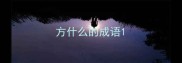 方什么的成语