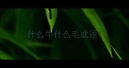 什么牛什么毛成语