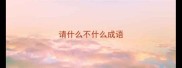 请什么不什么成语