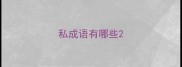私成语有哪些