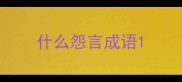 什么怨言成语