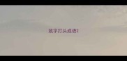就字打头成语