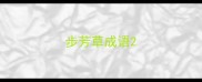 步芳草成语