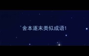 舍本逐末类似成语