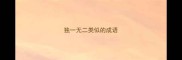 独一无二类似的成语