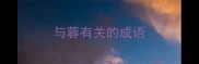 与蓉有关的成语