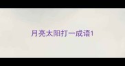 月亮太阳打一成语