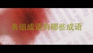 务组成语有哪些成语