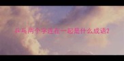 乒乓两个字连在一起是什么成语