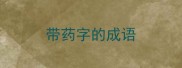 带药字的成语