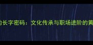 成语里的长字密码文化传承与职场进阶的黄金法则