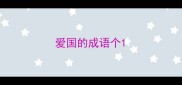 爱国的成语个