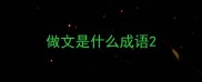 做文是什么成语