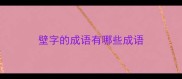 壁字的成语有哪些成语