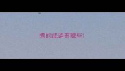 煮的成语有哪些