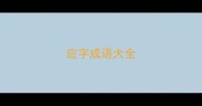 应字成语大全