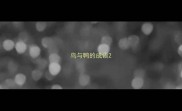 鸟与鸭的成语