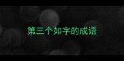 第三个如字的成语